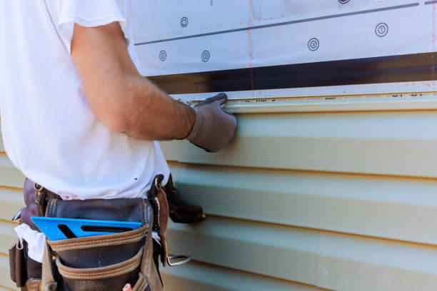 Affordable Siding Repair solutions in Woodstock, OH